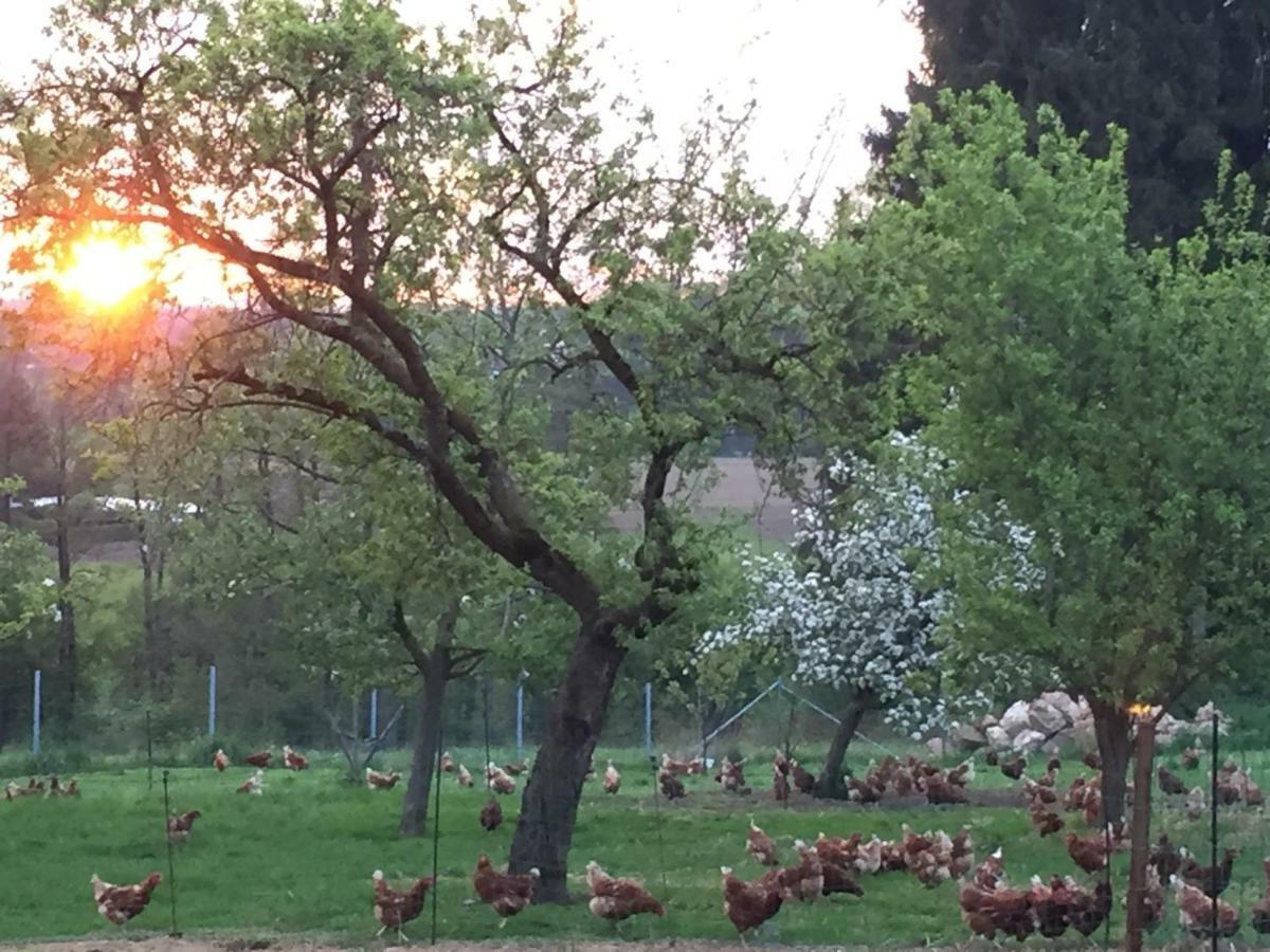 Séjour à la ferme Wastlbauer *